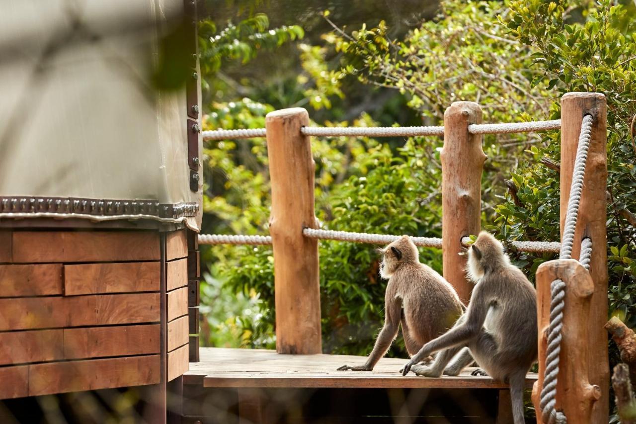 Wild Coast Tented 5* Yala